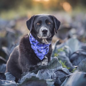 Natürliches Portraitshooting am Niederrhein – warme Lichtstimmung