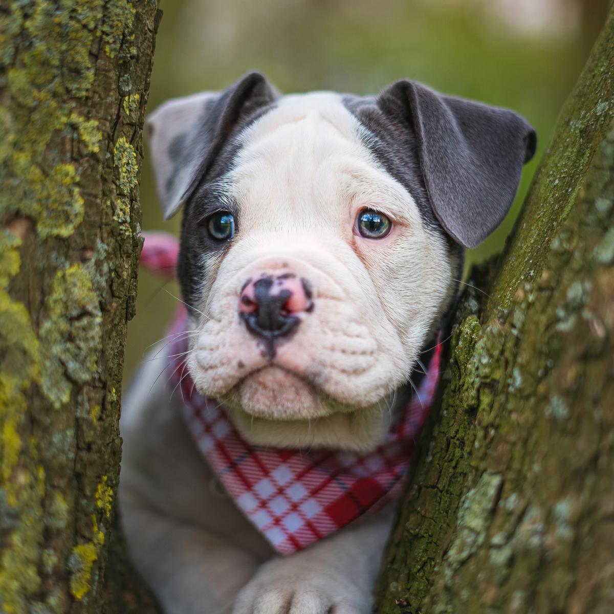Henry & Fiete – Foto 4 in Rheurdt